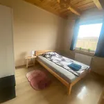 Prázdninový dům Dom Na Wylacznosc- Odpoczynek W Sercu Mazur *